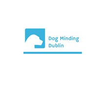 Dog Minding Dublin chat bot