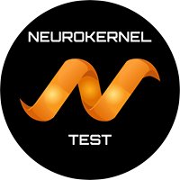 Neurokernel-Test chat bot