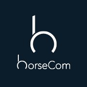 HorseCom chat bot
