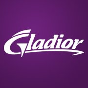 Gladior Online Marketing chat bot